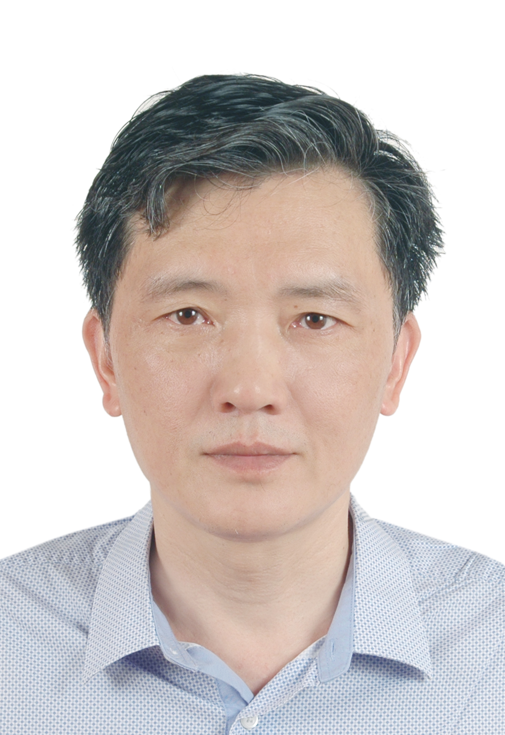 周向阳